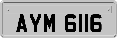 AYM6116