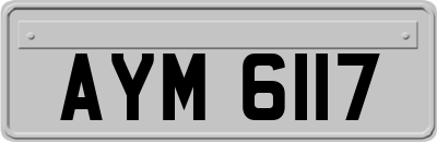 AYM6117