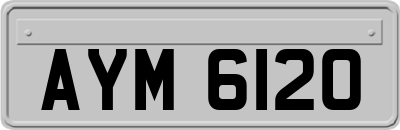 AYM6120