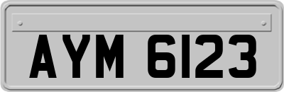 AYM6123