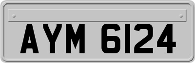 AYM6124