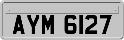 AYM6127