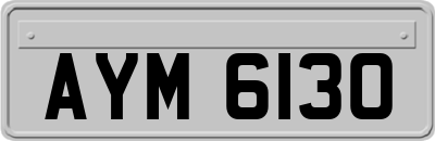 AYM6130