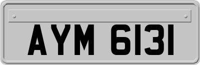 AYM6131