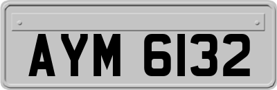 AYM6132