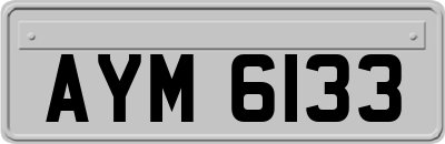 AYM6133