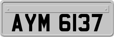 AYM6137