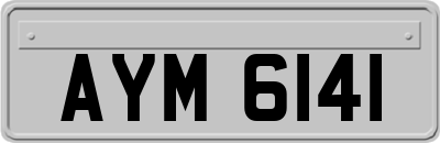 AYM6141
