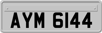 AYM6144