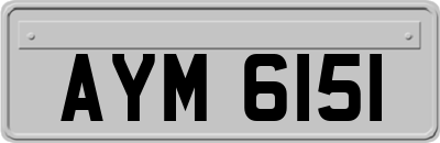 AYM6151