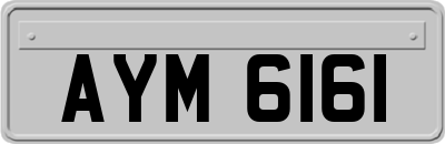 AYM6161