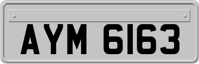 AYM6163