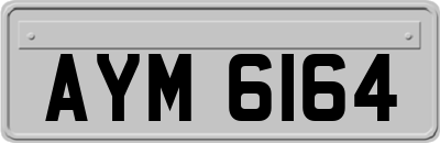 AYM6164