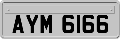 AYM6166