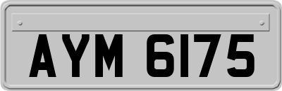 AYM6175