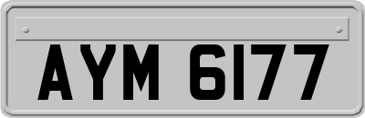 AYM6177