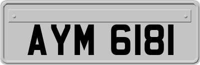 AYM6181