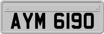 AYM6190