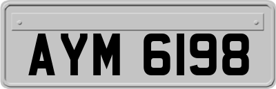 AYM6198