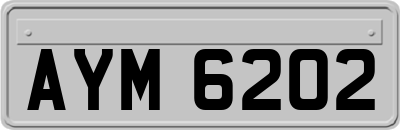 AYM6202