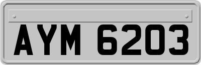 AYM6203