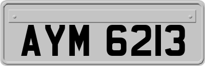 AYM6213