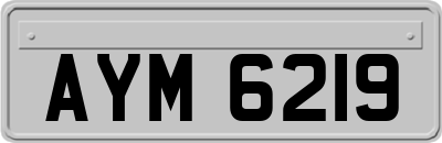 AYM6219