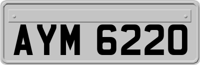 AYM6220