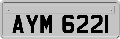 AYM6221