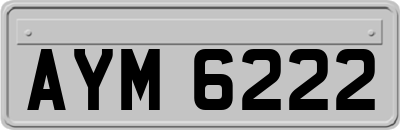 AYM6222