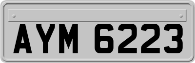 AYM6223