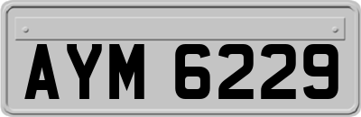 AYM6229