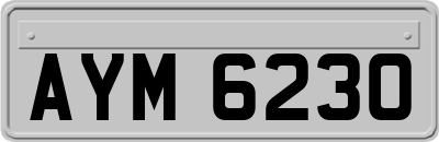 AYM6230