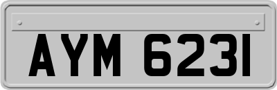 AYM6231