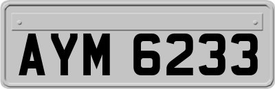 AYM6233