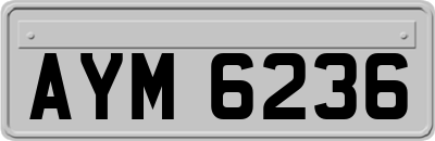 AYM6236