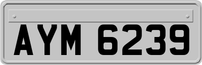 AYM6239