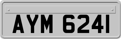 AYM6241