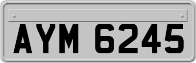 AYM6245