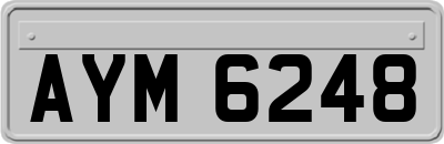 AYM6248