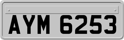 AYM6253