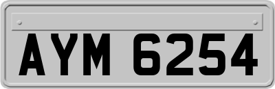 AYM6254