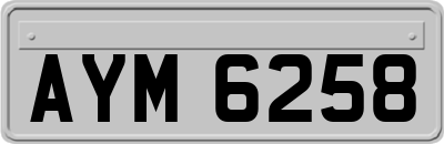 AYM6258