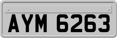 AYM6263