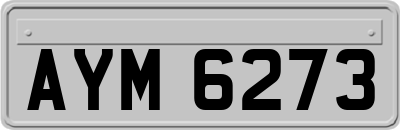 AYM6273