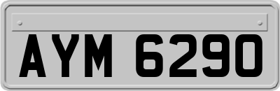 AYM6290