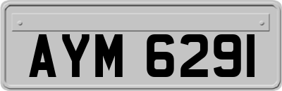 AYM6291