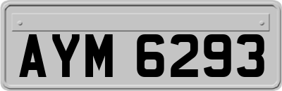 AYM6293