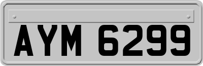 AYM6299