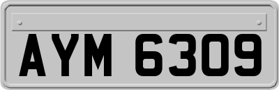 AYM6309